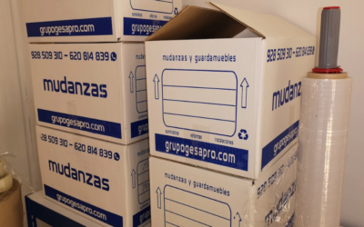 Mudanzas en San Bartolomé de Tirajana: cómo organizar tu traslado en el sur de Gran Canaria